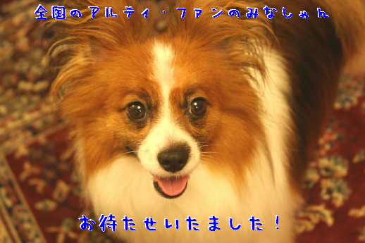 d0013149_23412639.jpg