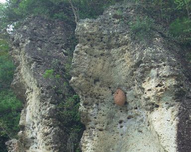 c0041852_1910382.jpg