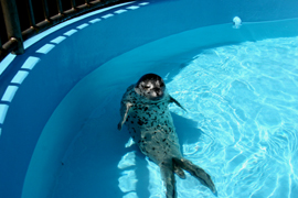 e0080452_2148652.jpg
