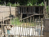 d0031853_0562611.jpg