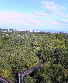 d0041553_21313195.jpg