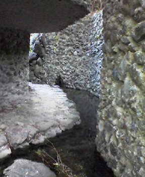 d0041553_2281242.jpg