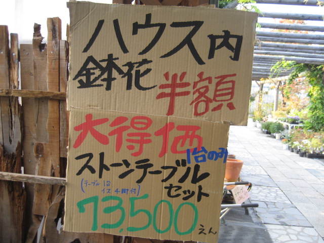 a0075455_17272569.jpg