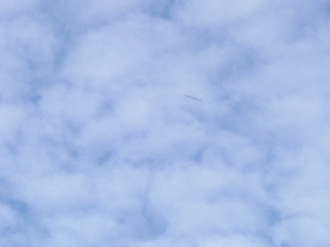 e0016955_19101589.jpg