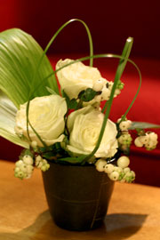 f0097456_23304447.jpg