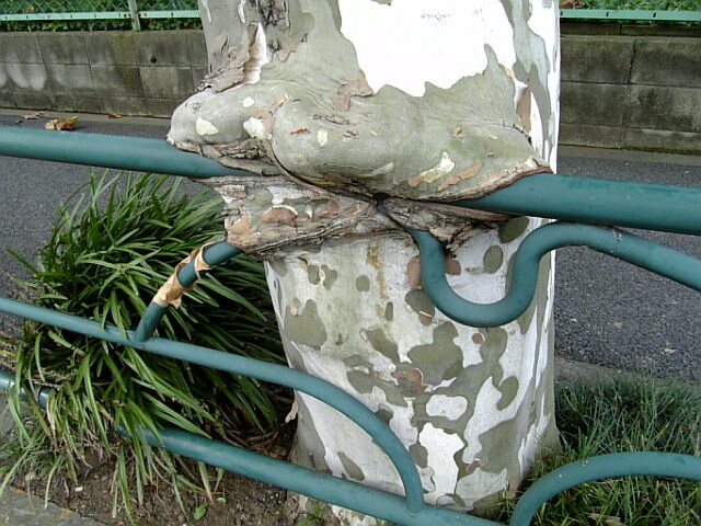 e0083359_22191051.jpg