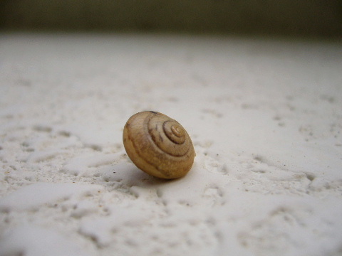 b0015260_16382431.jpg