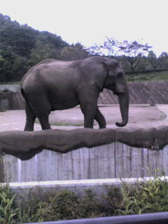 c0059660_22162659.jpg