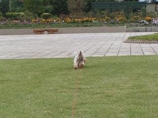 f0067361_1641018.jpg