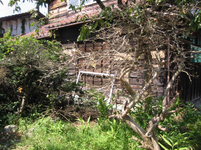 d0094868_3361173.jpg