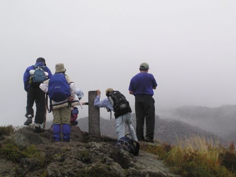 c0042869_2051330.jpg
