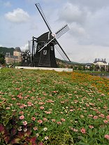 a0032771_093381.jpg