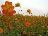 b0004675_2294141.jpg