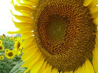 b0004675_2295964.jpg