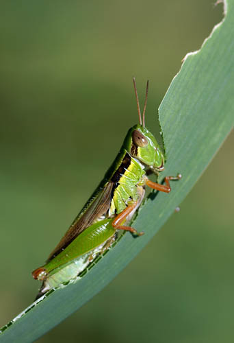 a0083081_216250.jpg