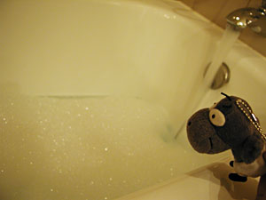 b0045387_04514.jpg