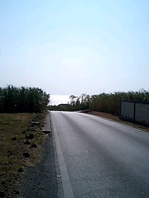 c0068090_10444458.jpg