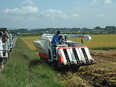 c0068891_2020443.jpg