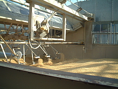 c0068891_20213998.jpg