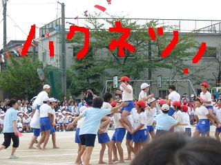 b0089492_2212725.jpg