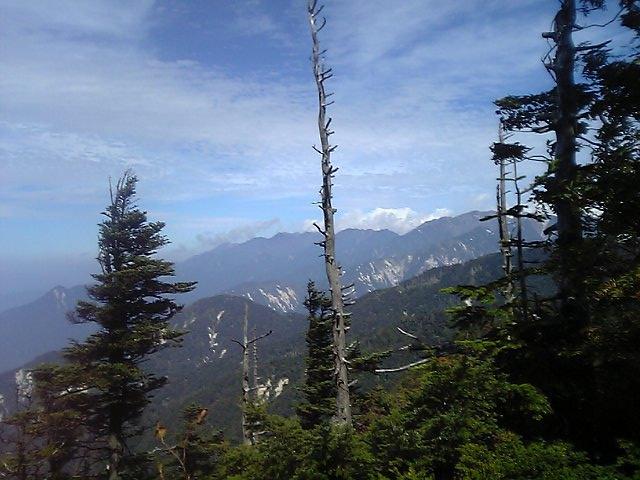 d0054692_9574291.jpg