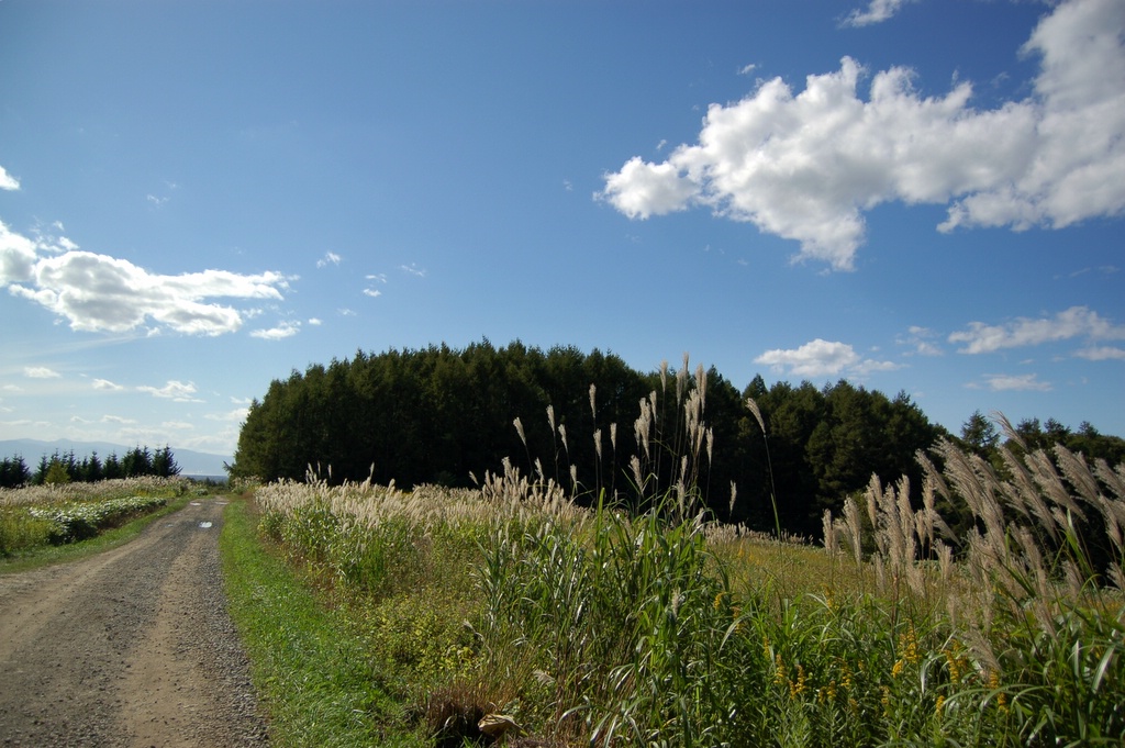 a0062697_072143.jpg