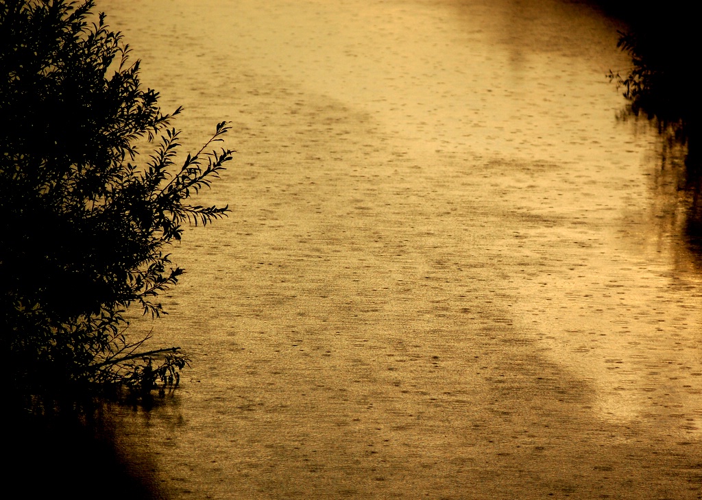 a0062697_073839.jpg