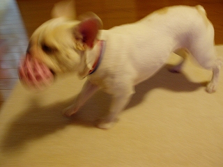 e0066099_071688.jpg