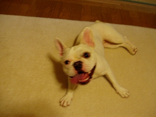 e0066099_07429.jpg