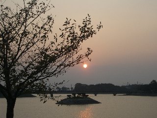b0061107_02148.jpg