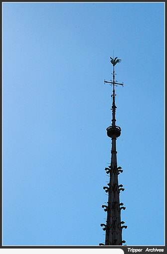 f0080510_772588.jpg
