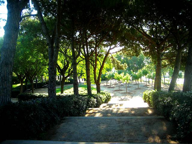 b0064411_0443043.jpg