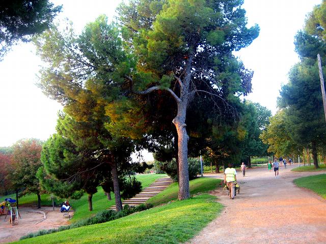 b0064411_049417.jpg