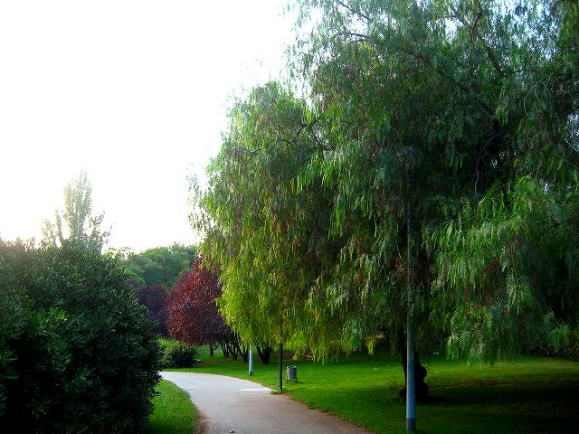 b0064411_05006.jpg