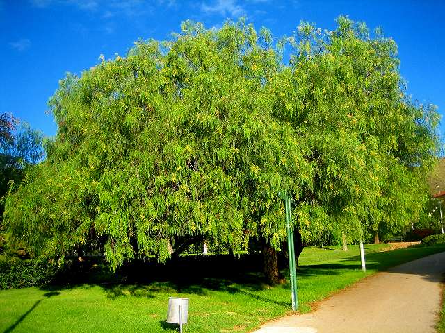 b0064411_0503030.jpg