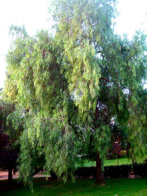 b0064411_0511281.jpg