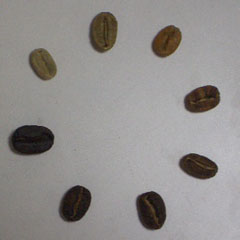 c0036617_18273427.jpg