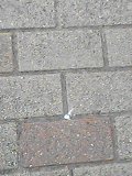 b0056518_23184436.jpg
