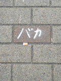 b0056518_2319298.jpg