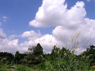 f0004019_18595295.jpg