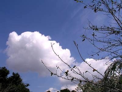 f0004019_1925089.jpg