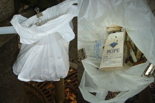 f0100920_7504341.jpg