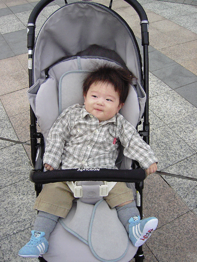 a0074523_22224964.gif
