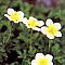 a0082026_9415421.jpg