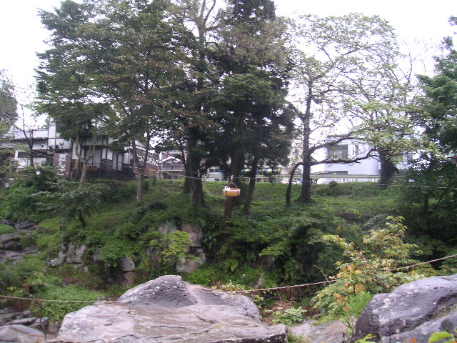 a0020929_2285984.jpg