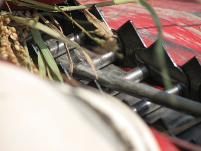c0085630_2141290.jpg