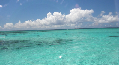 b0029435_021457.jpg