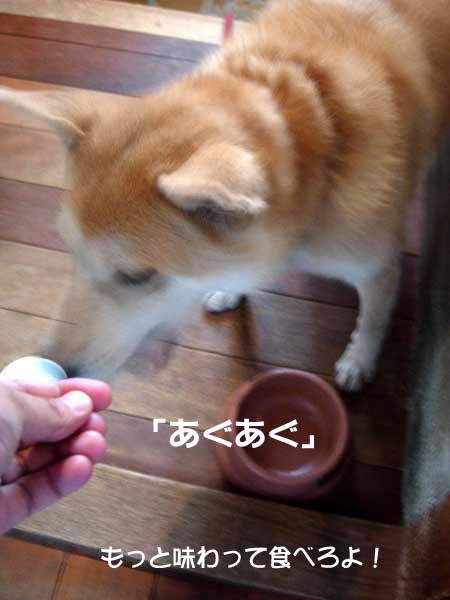 e0077145_1321383.jpg