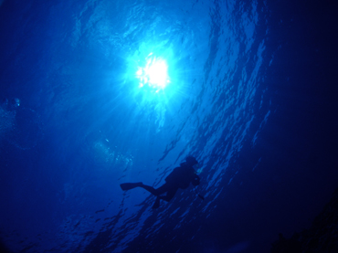 d0065247_21383164.jpg