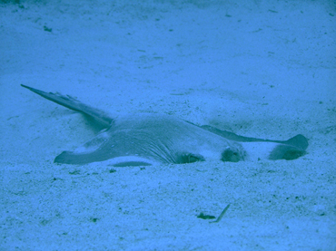 d0065247_21395724.jpg